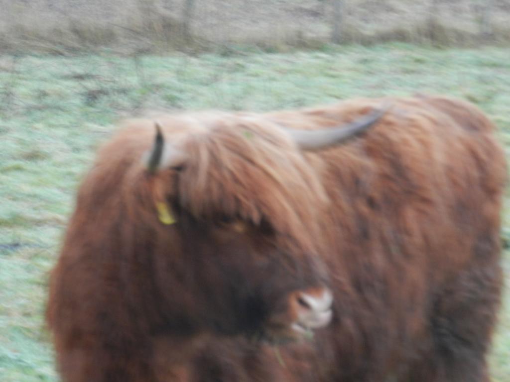 Clunebeg Lodge Drumnadrochit Zewnętrze zdjęcie